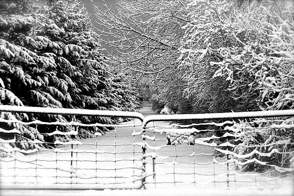 Winter Way by David Hubbs Winter Way by David Hubbs