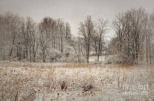 Winter Wonderland by Pamela Baker Winter Wonderland by Pamela Baker