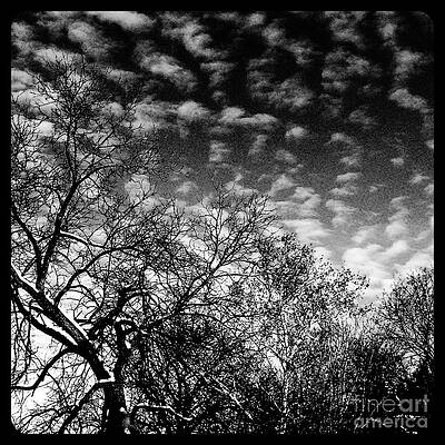 Winterfold - Monochrome by Frank J Casella Winterfold - Monochrome by Frank J Casella
