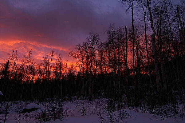 Wall Art - Photograph - Winter's Fire by Jeremy Rhoades
