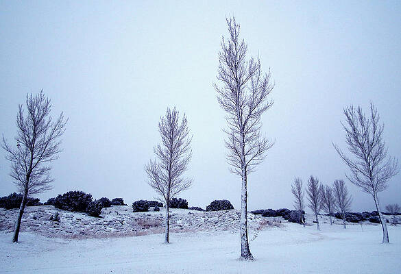 Winter's Grip by Karl Moffatt Winter's Grip by Karl Moffatt