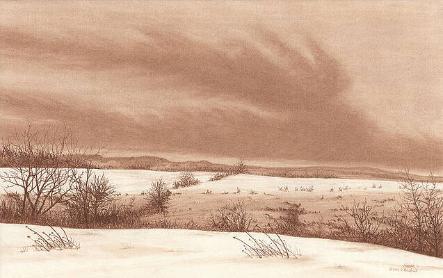 Wintry Meadow by Peter Rashford Wintry Meadow by Peter Rashford