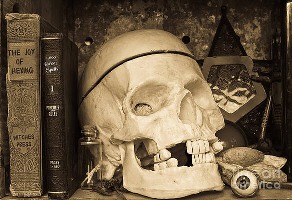 Wall Art - Photograph - Witches Bookshelf by Edward Fielding