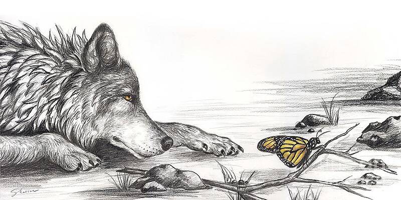 Wolf and Butterfly by Sharon Molinaro Wolf and Butterfly by Sharon Molinaro