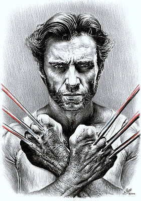 Wall Art - Drawing - Wolverine by Andrew Read