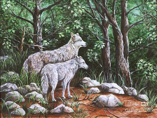 Wolves in South Dakota by Sharon Molinaro Wolves in South Dakota by Sharon Molinaro