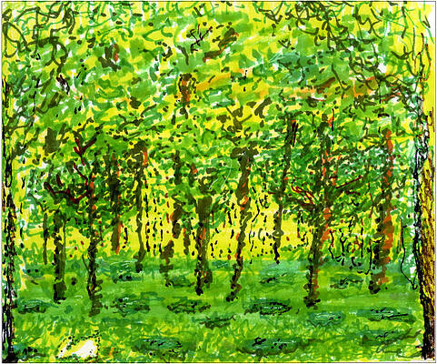 Wood Between the Worlds by Jenny Mead Wood Between the Worlds by Jenny Mead