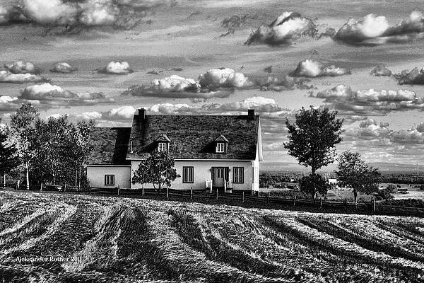 Wall Art - Photograph - Woodcut by Aleksander Rotner