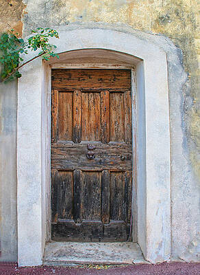 Wooden Door with Yellow Rose by Sandra Anderson Wooden Door with Yellow Rose by Sandra Anderson