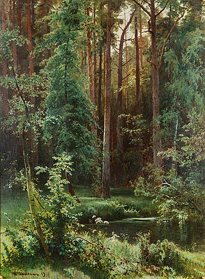 Woodland Print by Ivan Shishkin