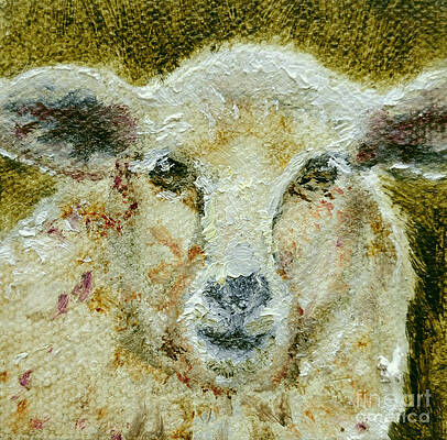 Wooly Sheep by Paint Box Studio Wooly Sheep by Paint Box Studio