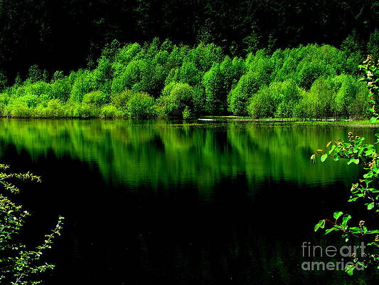 Work In Green by Greg Patzer Work In Green by Greg Patzer