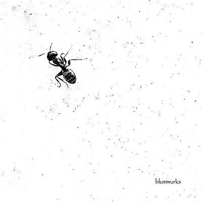 Wall Art - Photograph - Work by Matthew Blum