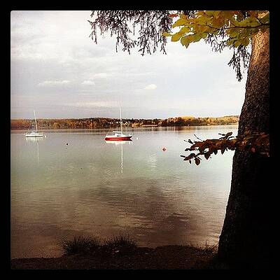 Wall Art - Photograph - Wörthsee by Hannes Cmarits