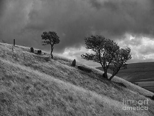 Wuthering by Gillian Singleton Wuthering by Gillian Singleton