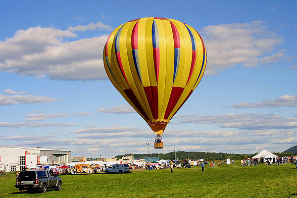 Yellow and Pastel Colored Balloon by Abbey Walls