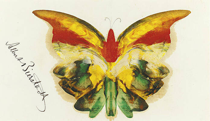 Yellow Butterfly Print by Albert Bierstadt