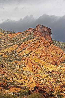 Wall Art - Photograph - Yellow Colored Rock Along The Apache Trail by Tom Janca