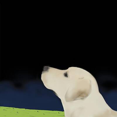 Wall Art - Painting - Yellow Dog Profile by Marjorie Weiss