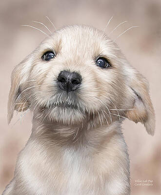 Yellow Lab Pup by Carol Cavalaris Yellow Lab Pup by Carol Cavalaris