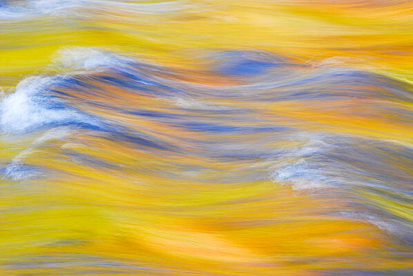 Yellow Reflection by Michael Hubley