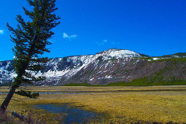 Yellowstone National Park by Kenneth Cole Yellowstone National Park by Kenneth Cole