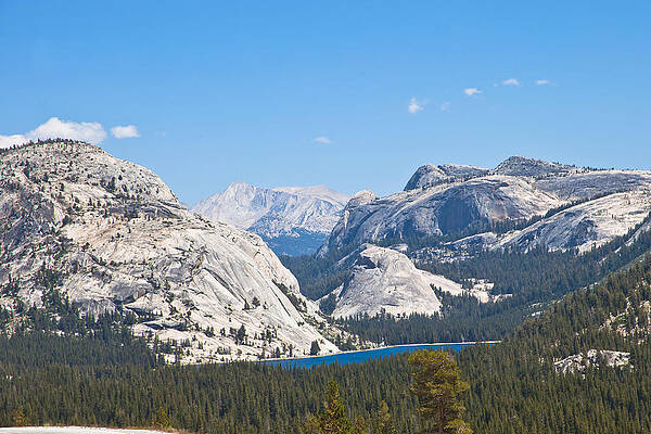 Lake Photograph - Yosemite Lake Tenaya Overview by Natural Focal Point Photography