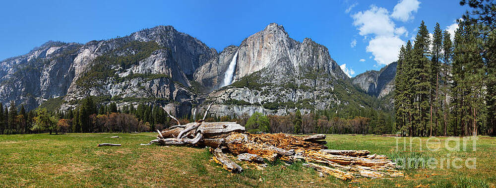 Wall Art - Photograph - Yosemite Meadow panorama by Jane Rix
