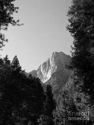  Photograph - Yosemite Park black and white by Mini Arora