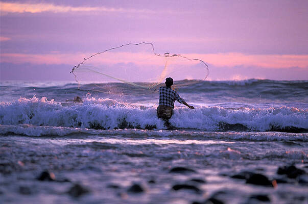Wall Art - Photograph - Young Man Fishing With A Throw Net by Justin Bailie