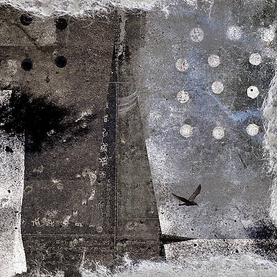 Wall Art - Photograph - Yuki Desu  It is Snowing by Carol Leigh