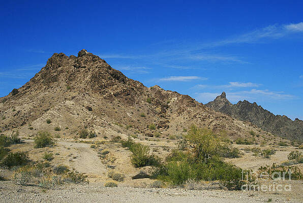 Wall Art - Photograph - Yuma Desert by David Davis