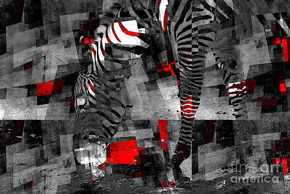Zebra Art - 56a by Variance Collections Zebra Art - 56a by Variance Collections