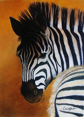 Zebra by Jean Yves Crispo Zebra by Jean Yves Crispo