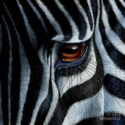 Zebra Eye Paintings - Fine Art America