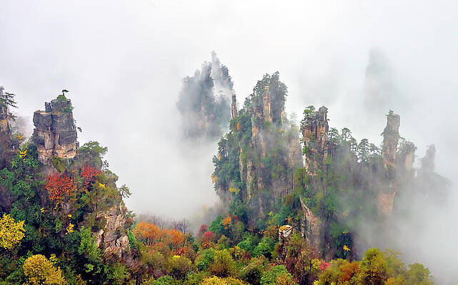 Wall Art - Photograph - Zhang Jia Jie Fall Color by Hua Zhu