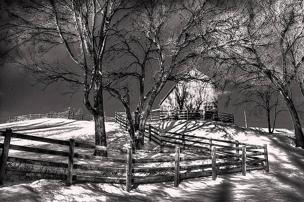 Wall Art - Digital Art - Zigzag Fencerow by William Fields