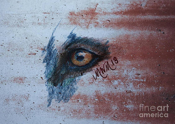 Zombie Wolf Eye by Michelle Wolff Zombie Wolf Eye by Michelle Wolff