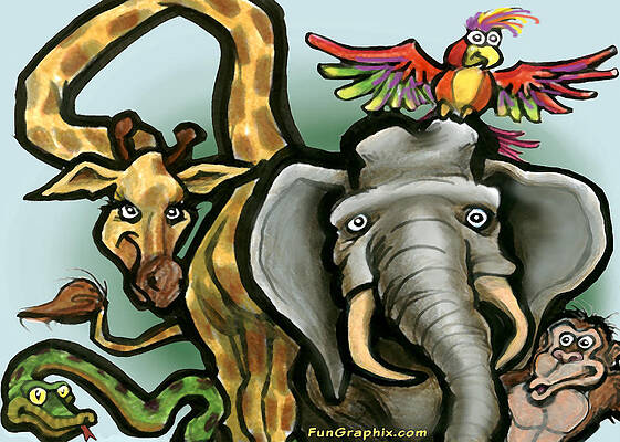 Zoo Animals by Kevin Middleton Zoo Animals by Kevin Middleton