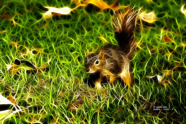 Wall Art - Digital Art - - Fractal - Pointer - Robbie The Squirrel by James Ahn