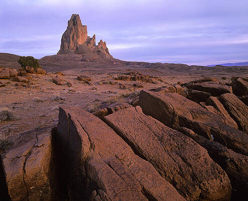 Wall Art - Photograph - Agathla Peak The Basalt Core Of An #1 by Tim Fitzharris