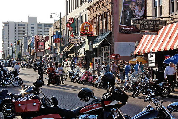 Bikes on Beale by Dawn Davis