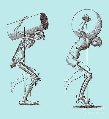 Wall Art - Photograph - Biomechanics #1 by Science Source
