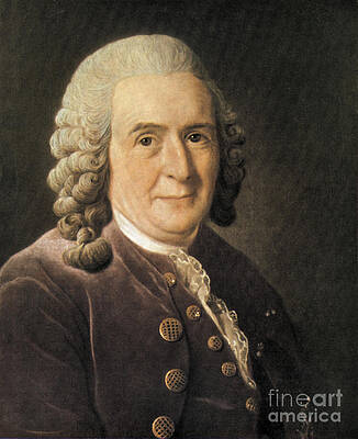 Wall Art - Photograph - Carl Linnaeus, Swedish Botanist #1 by Science Source