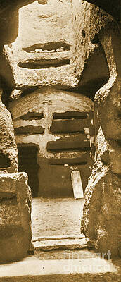 Wall Art - Photograph - Catacombs #1 by Science Source