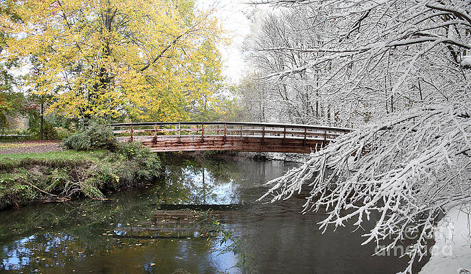 Wall Art - Photograph - Composite Of Fall And Winter #1 by Ted Kinsman