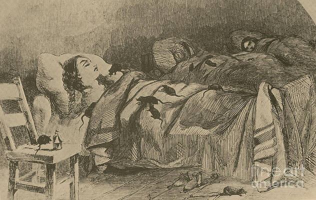 Wall Art - Photograph - Conditions In Bellevue Hospital, New #1 by Science Source