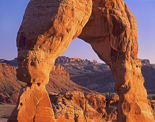 Wall Art - Photograph - Delicate Arch And La Sal Mountains #1 by Tim Fitzharris