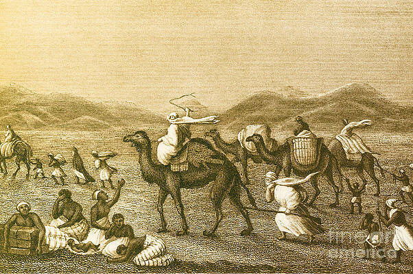 Wall Art - Photograph - Desert Sandstorm, The Enemy Of Caravans #1 by Science Source