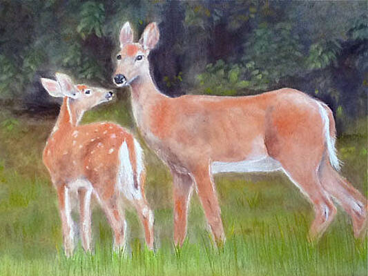 Doe and Fawn by Barbara Gulotta Doe and Fawn by Barbara Gulotta